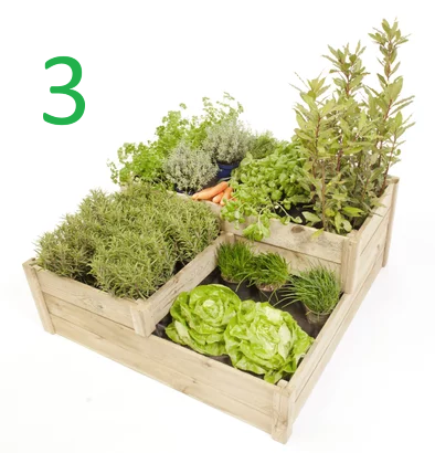 carre-potager